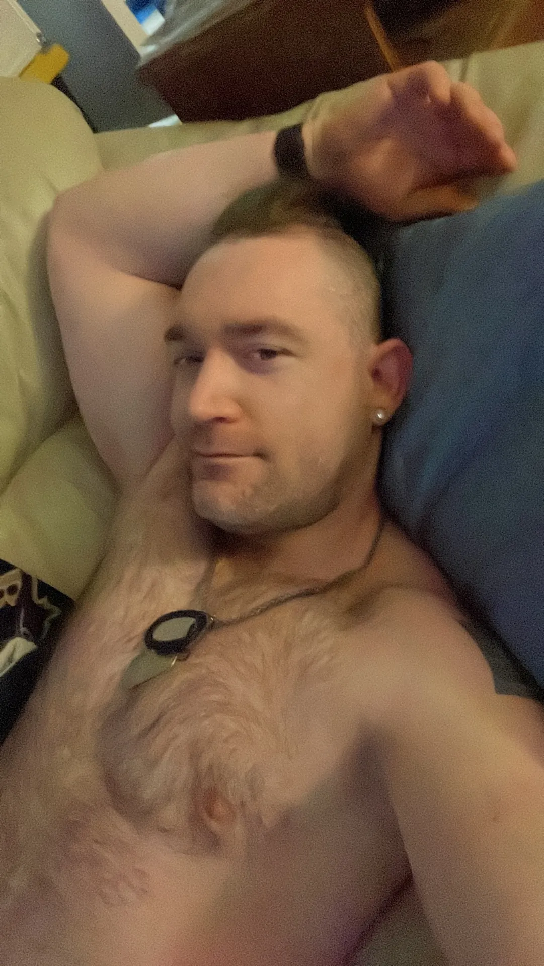 Adonis Hasselhoff OnlyFans profile picture