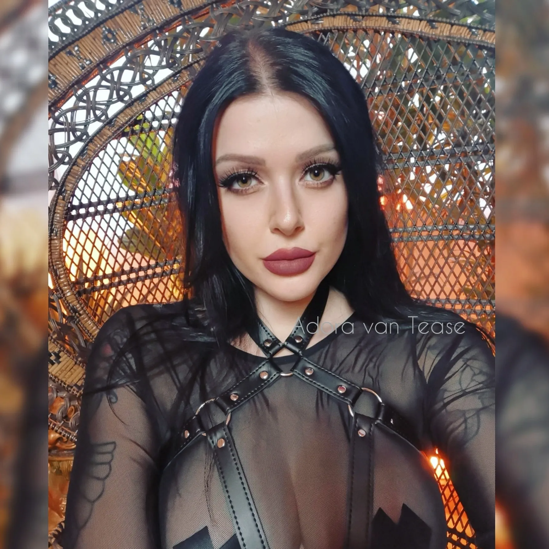 Adora van Tease OnlyFans profile picture