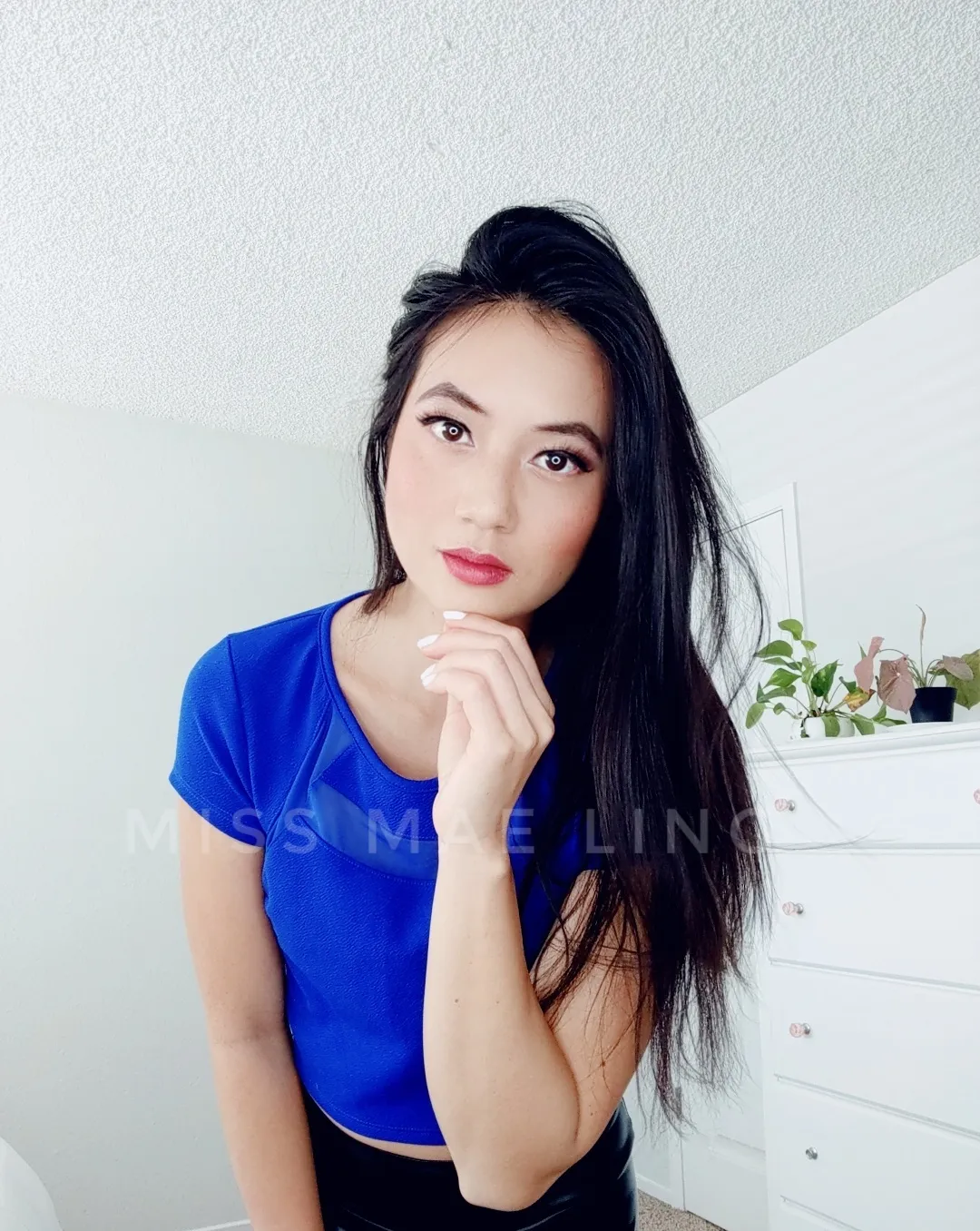 Circus Domme OnlyFans profile picture