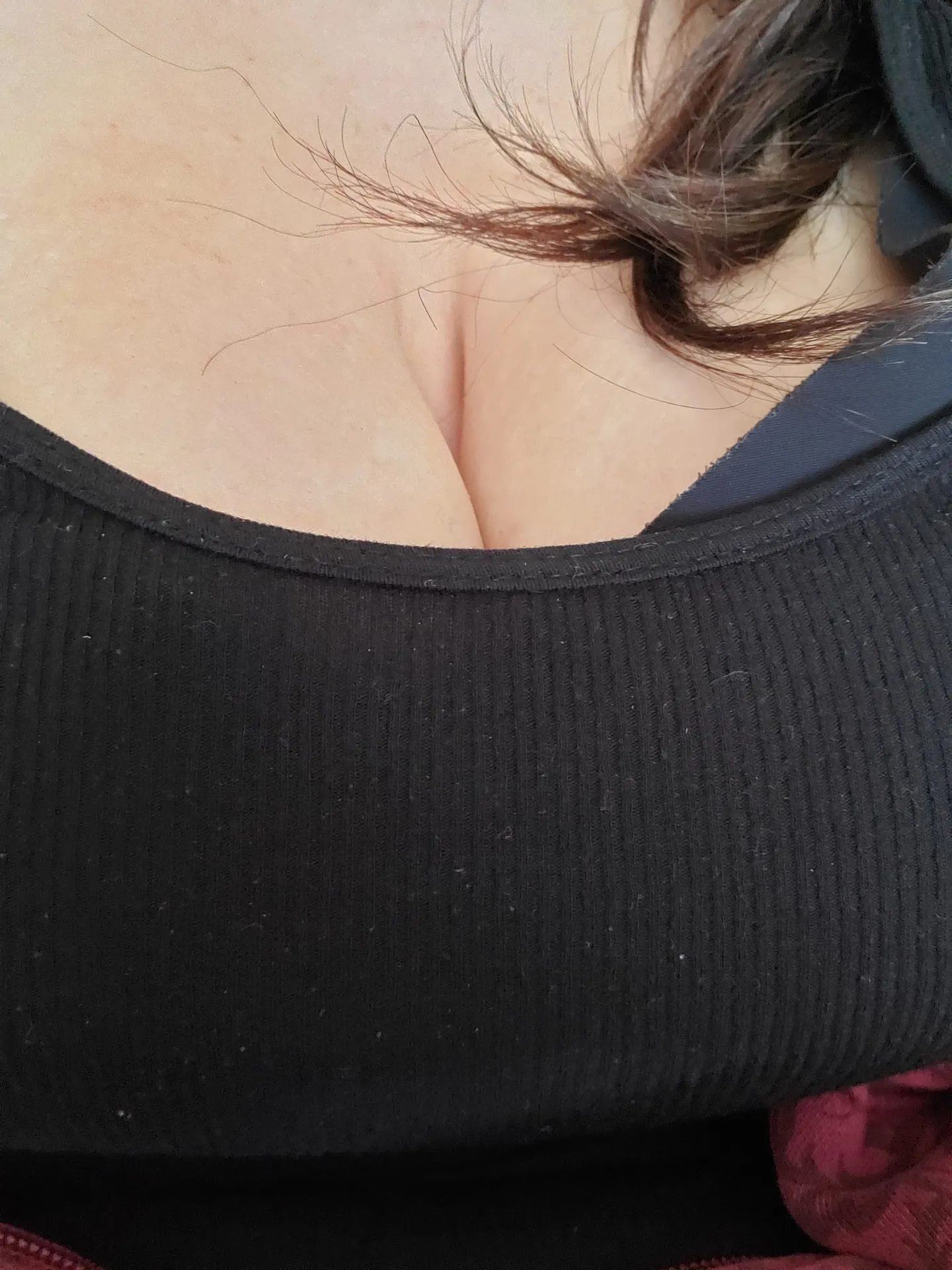 Aeolidia OnlyFans profile picture