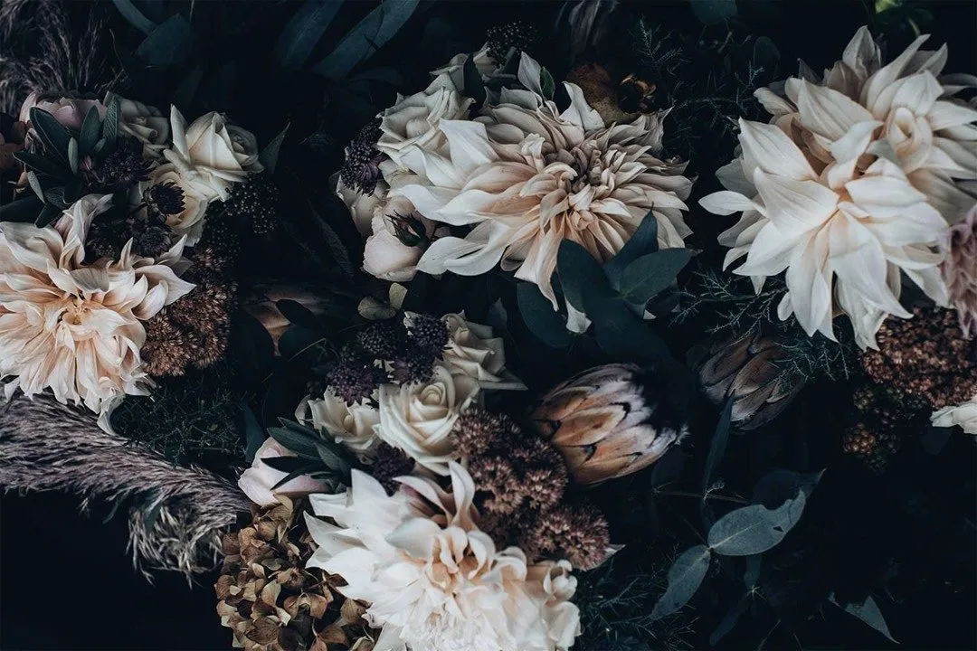 Aeris OnlyFans header