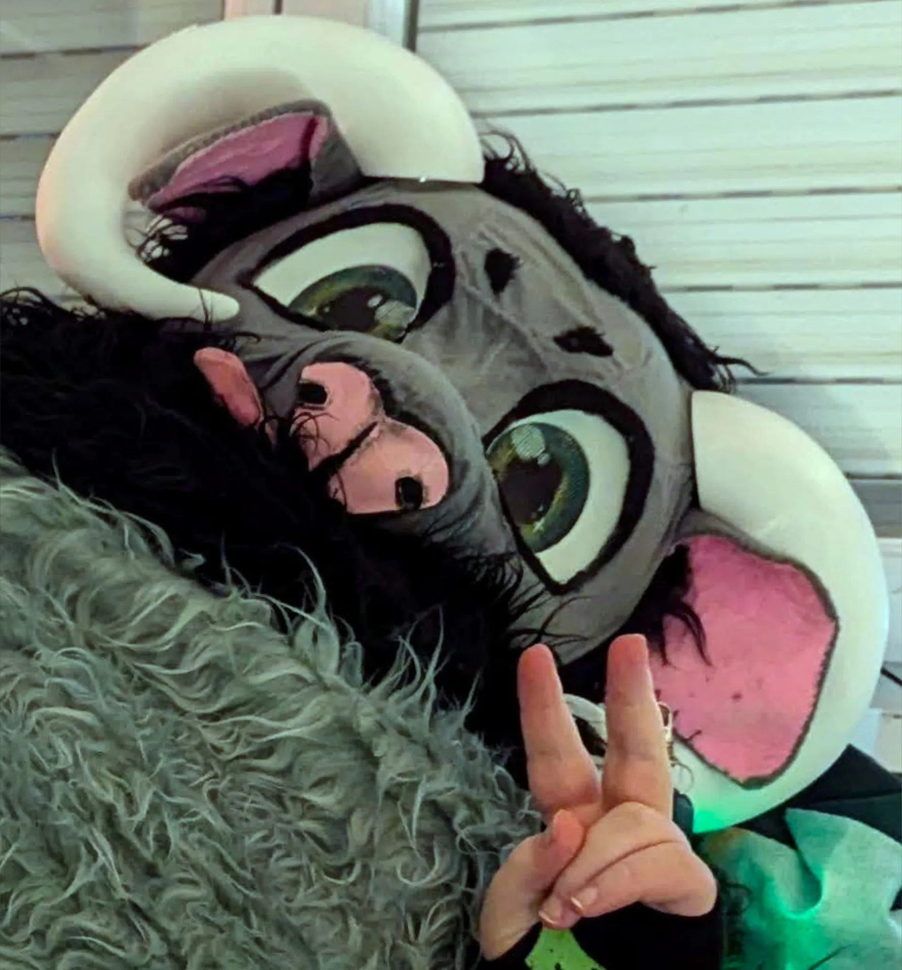 Aeromkana OnlyFans profile picture