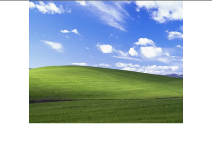 losorea OnlyFans header