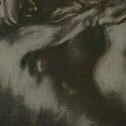 STALLION DICK OnlyFans profile picture
