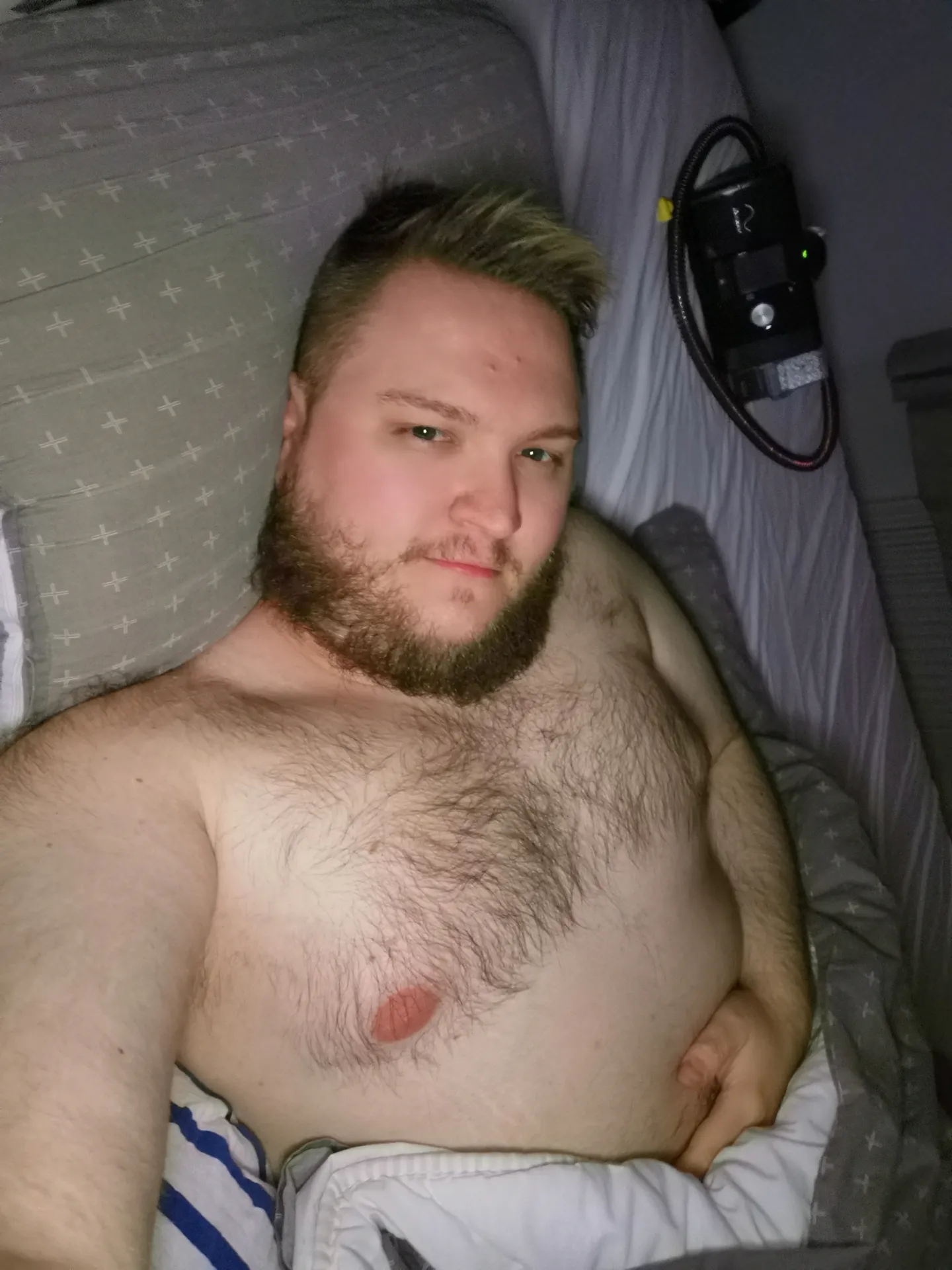 afineassbear OnlyFans profile picture