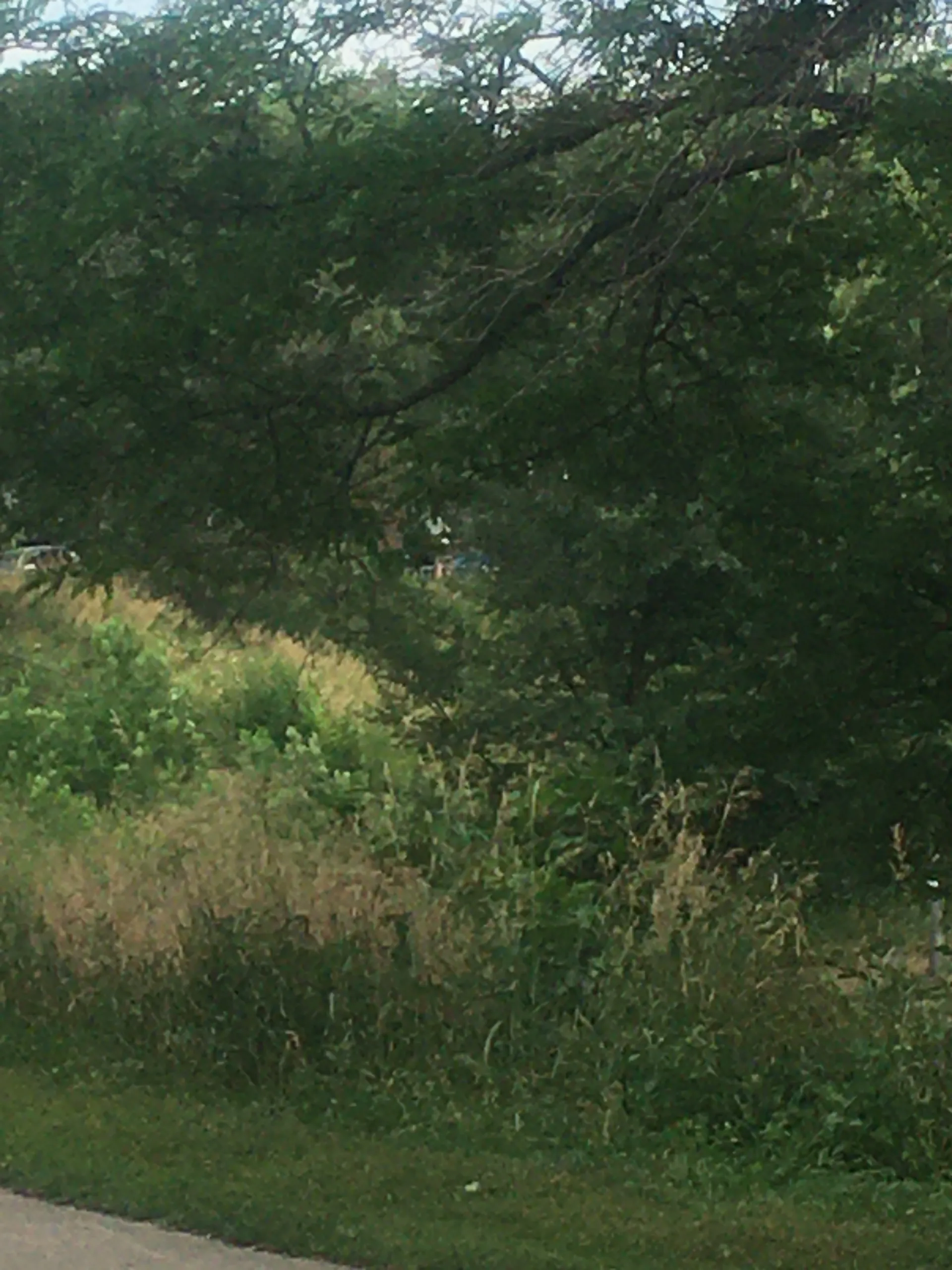 Russell Water 🌾 OnlyFans header