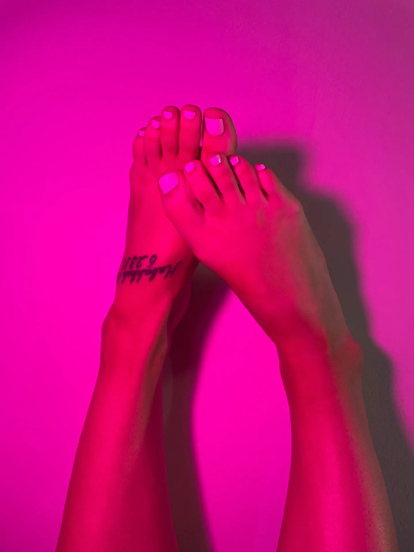 A Foot For Every Season OnlyFans profile picture
