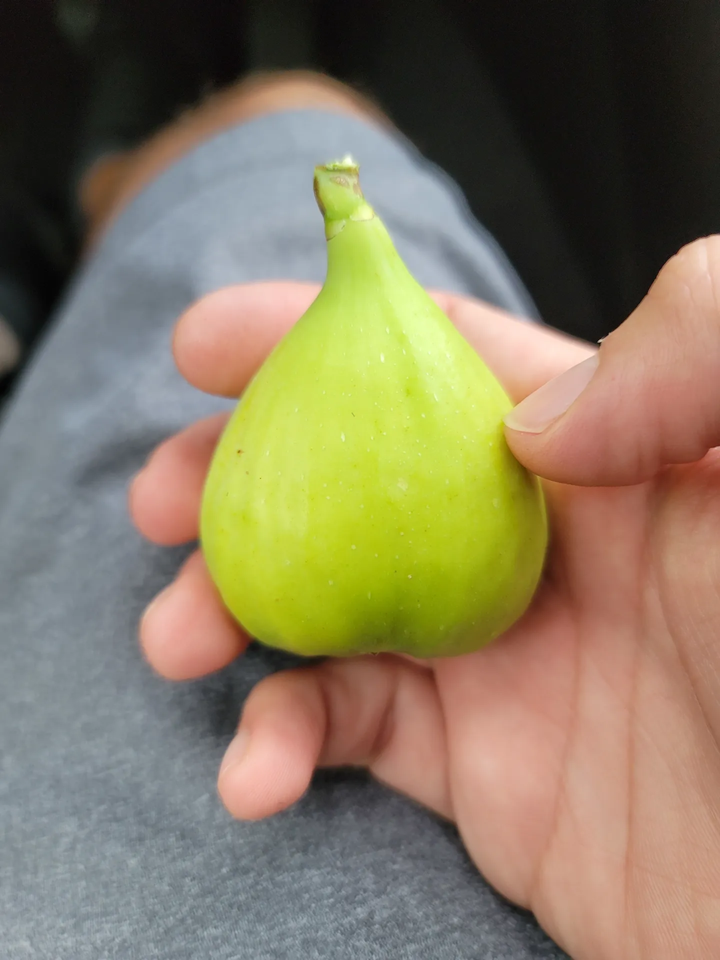 Thick boy with the nice dick OnlyFans profile picture