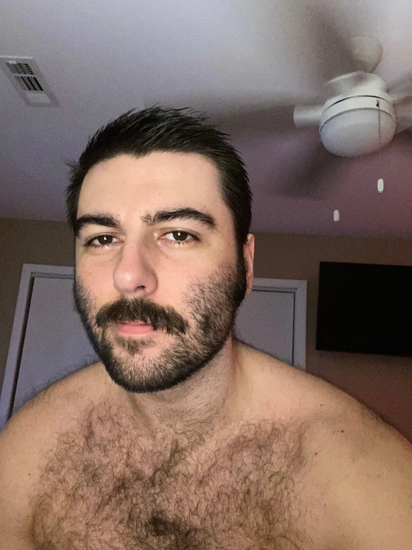 🐻 OnlyFans profile picture