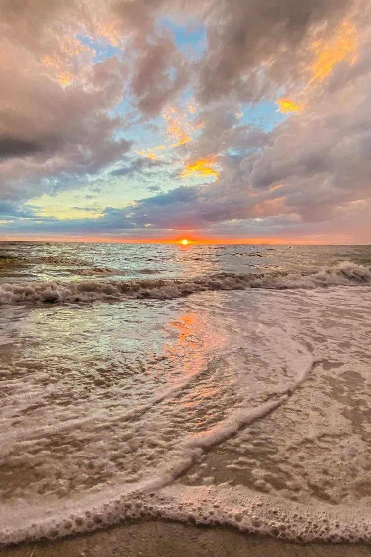 Tu bebota OnlyFans header