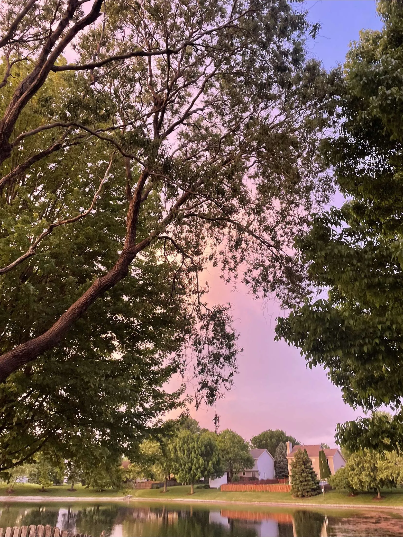 aj OnlyFans header