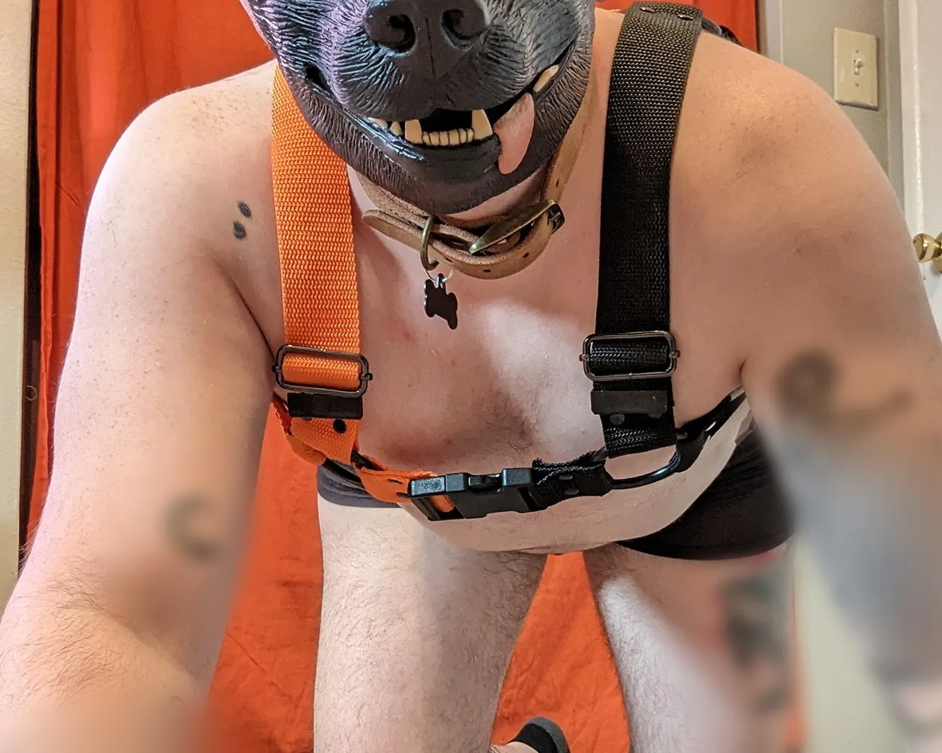 Austin Kilstreet OnlyFans profile picture
