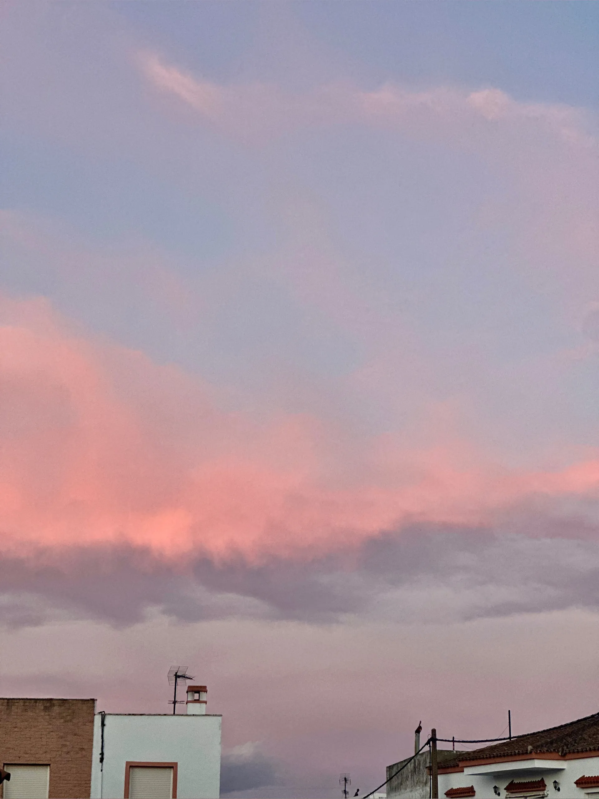 AJLB OnlyFans header