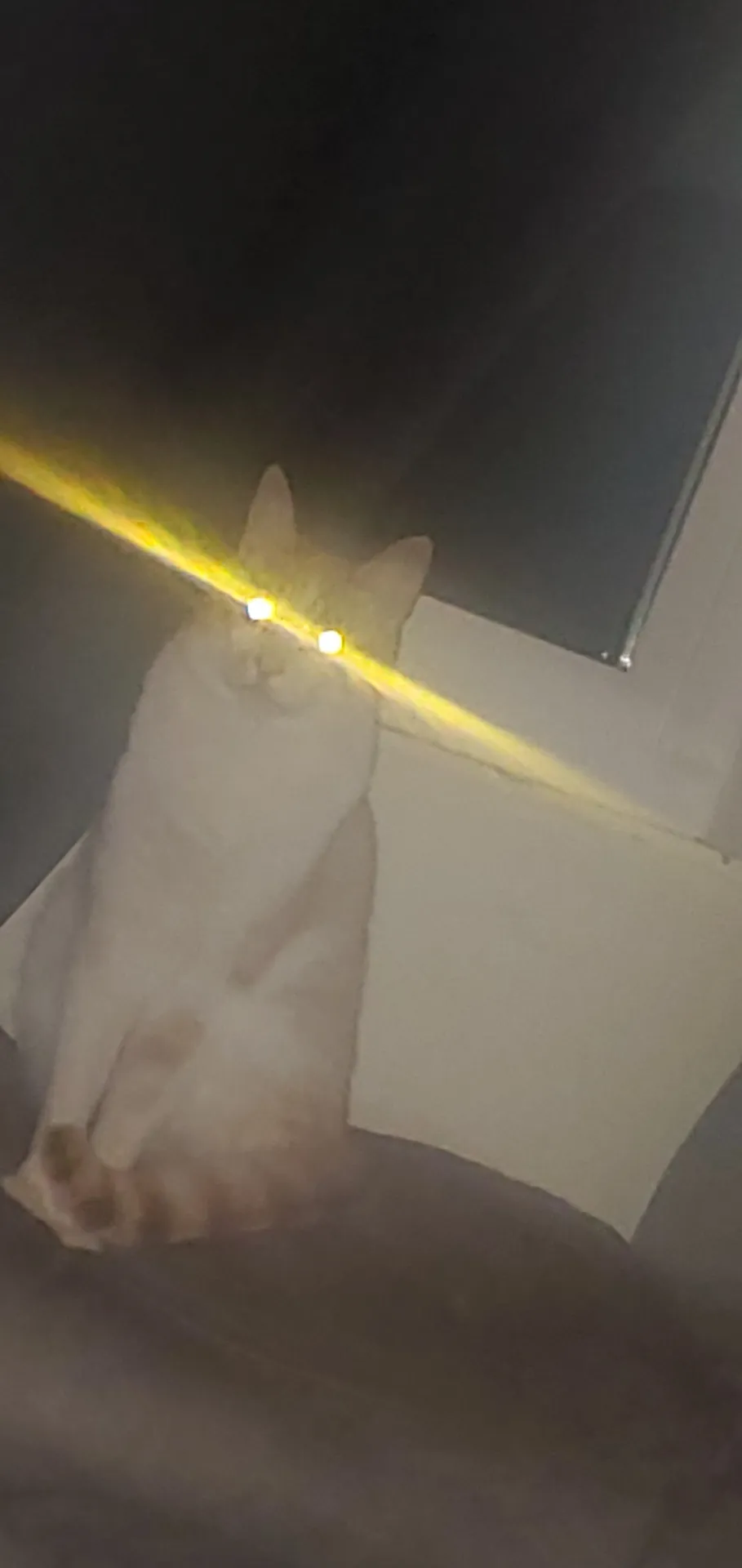 A. OnlyFans profile picture