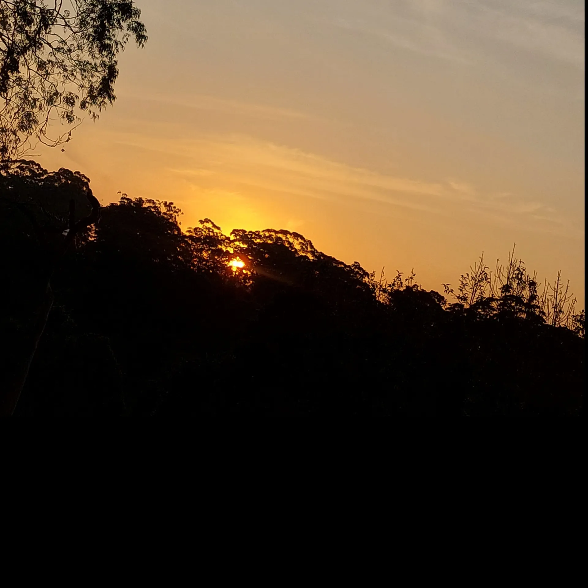 July OnlyFans header