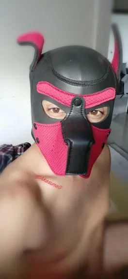 AkasunaG OnlyFans profile picture