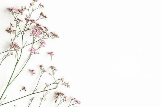 AJ 🌱 OnlyFans header