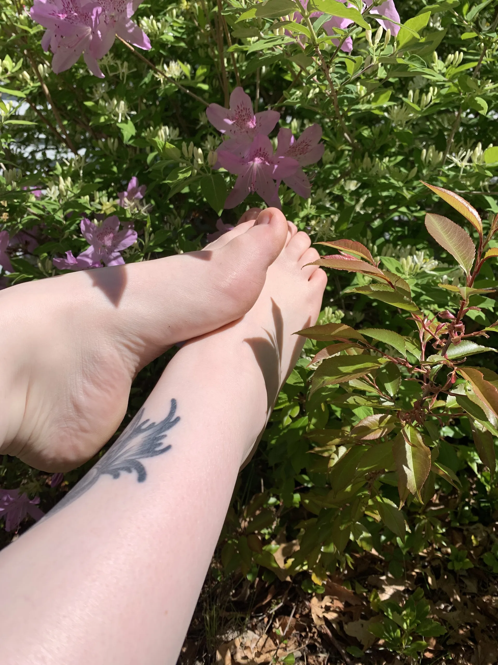 Akia Rose OnlyFans header