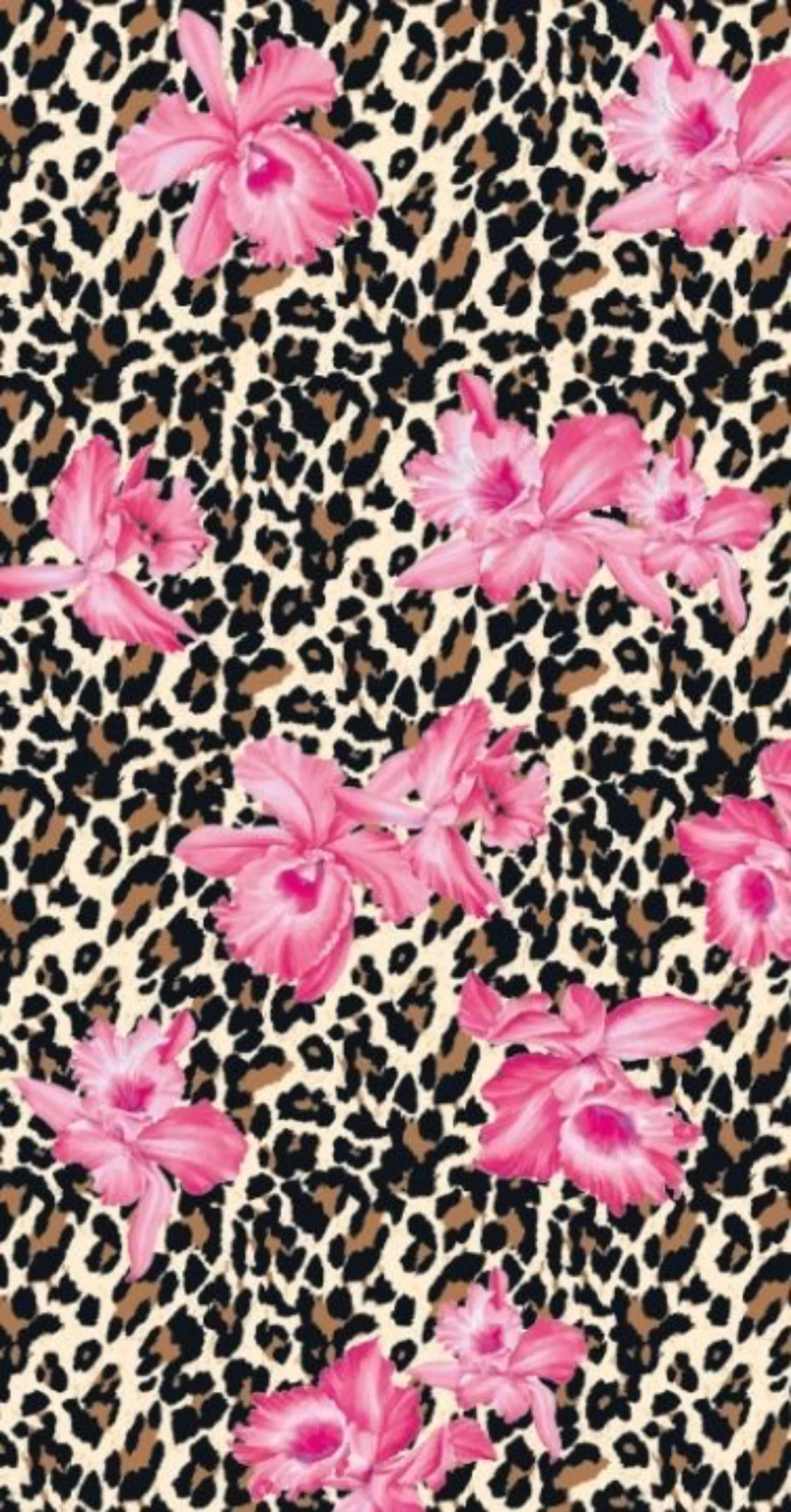 Akira Rabbit OnlyFans header