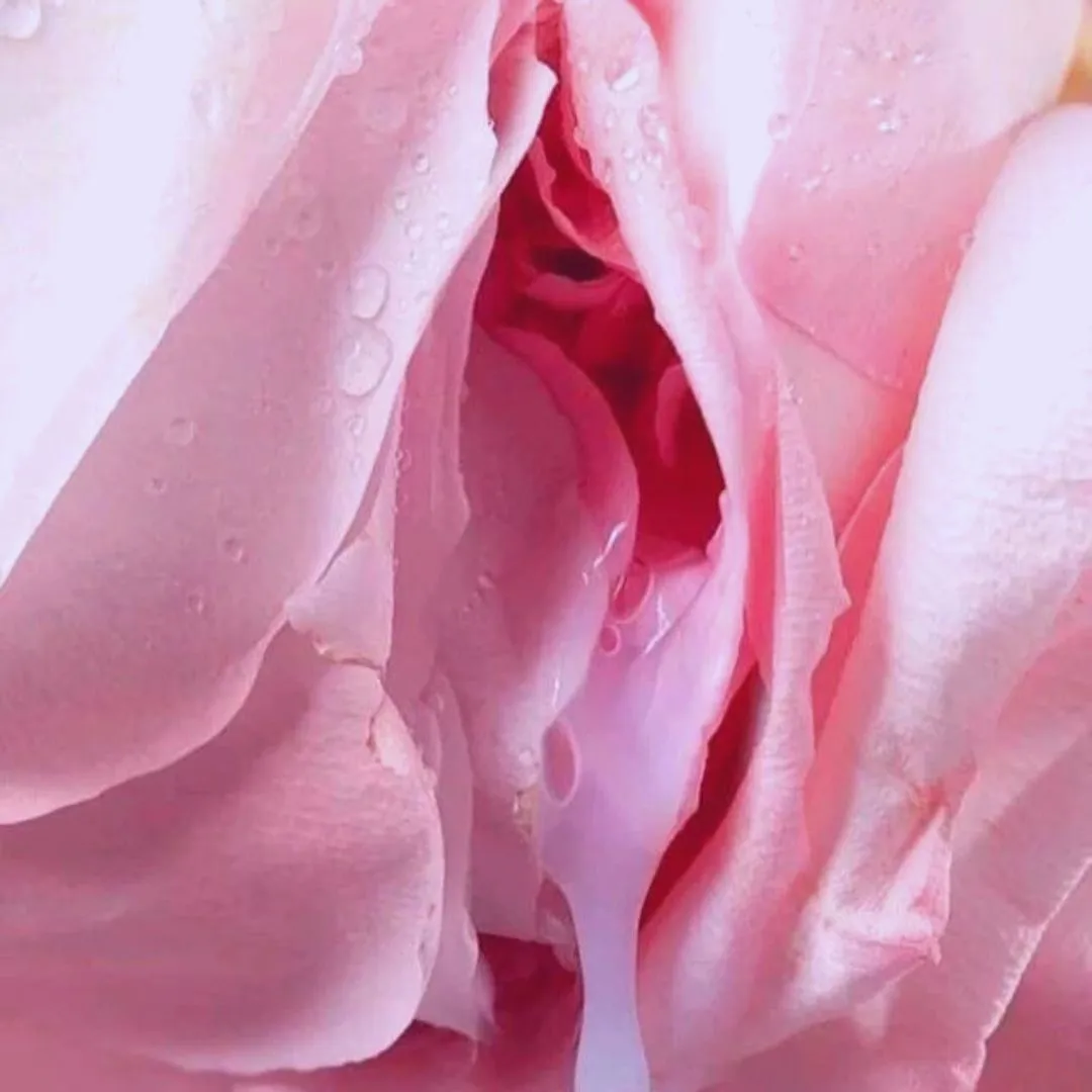 @AkiraFoxXx OnlyFans header