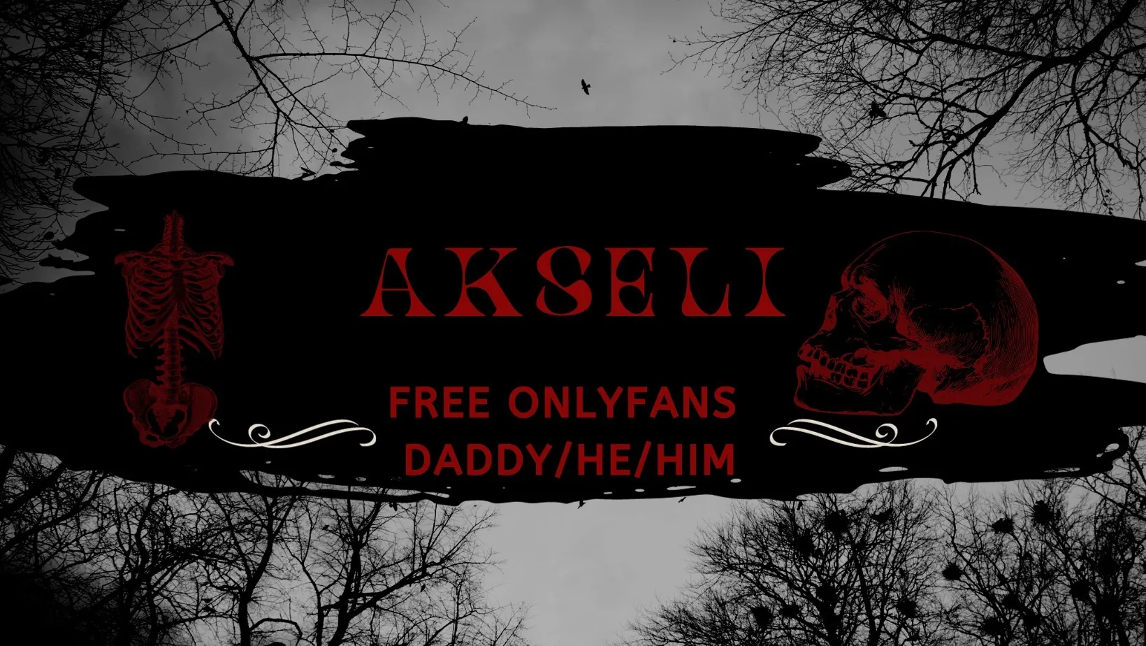 AkseliFree OnlyFans header