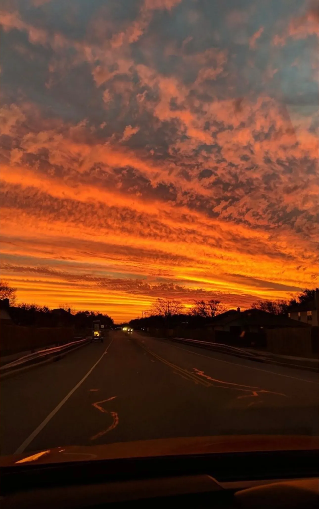 Alexander OnlyFans header