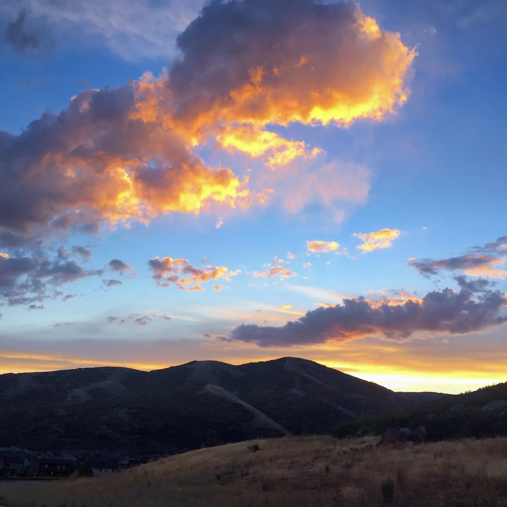 Alexander Mecum OnlyFans header