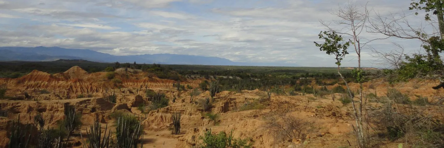 Alfarero 2 OnlyFans header