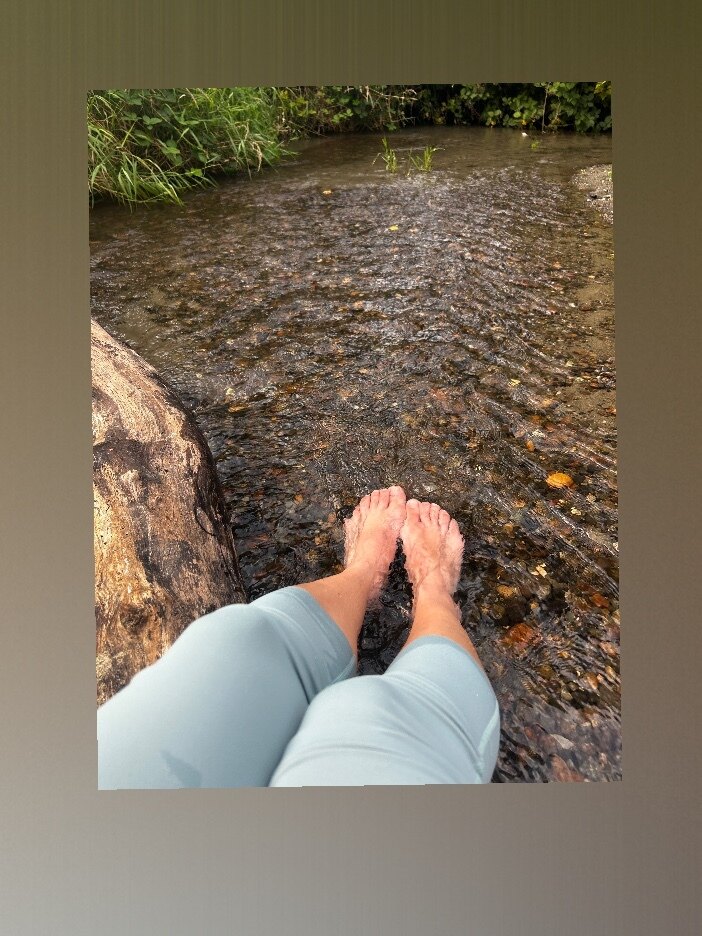 Alice in Adultland OnlyFans header