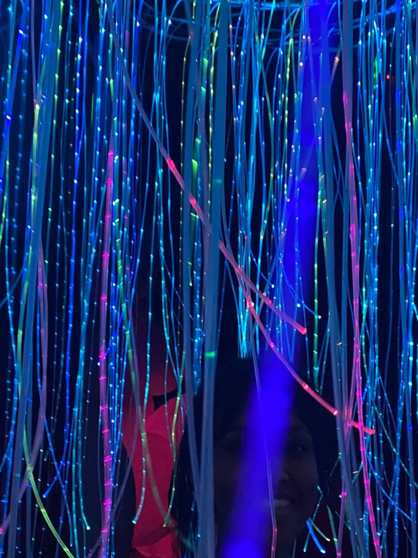 alina OnlyFans header
