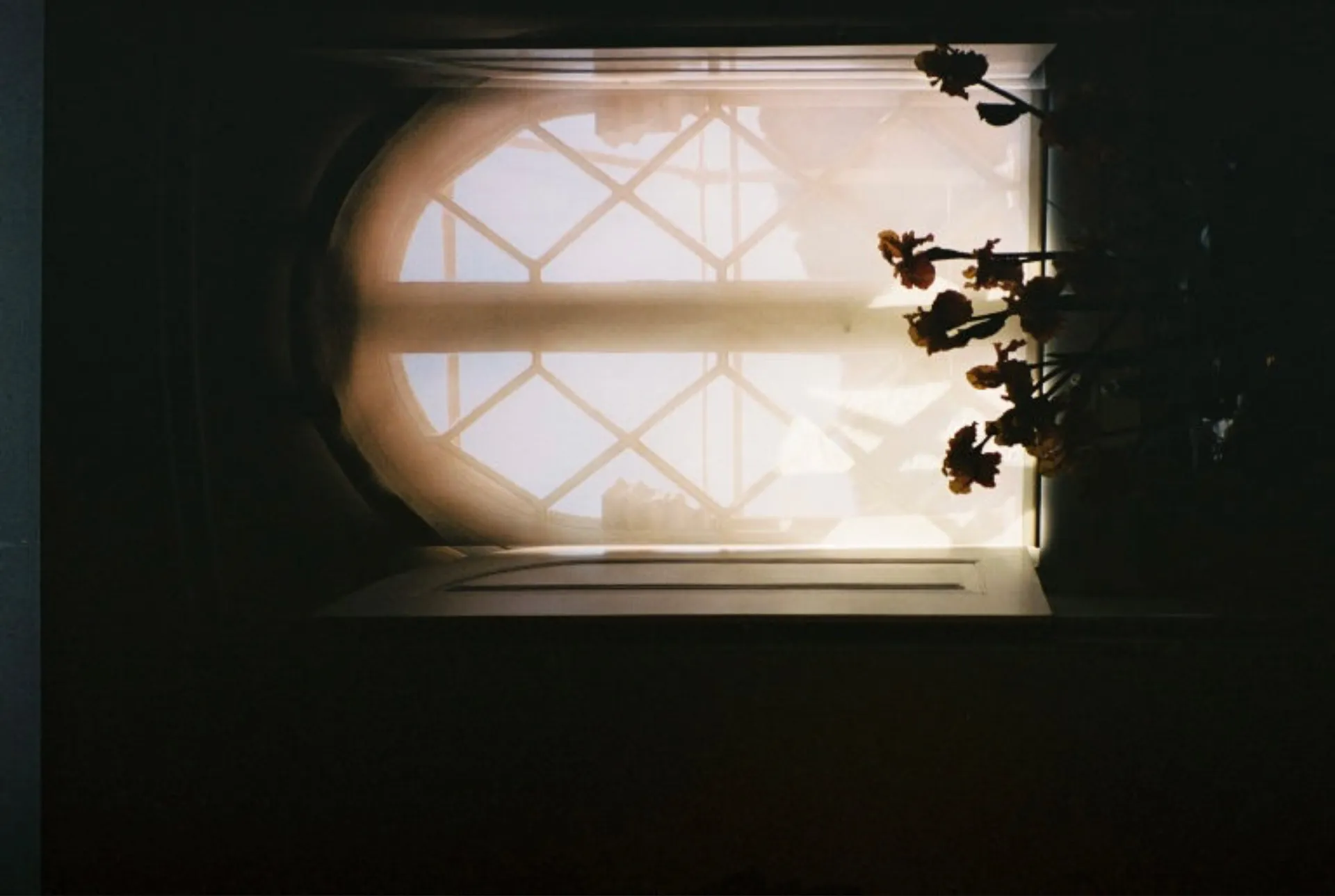 ⋆˚࿔ 𝓪𝓵𝓲𝓼𝓸𝓷 𝜗𝜚˚⋆ OnlyFans header