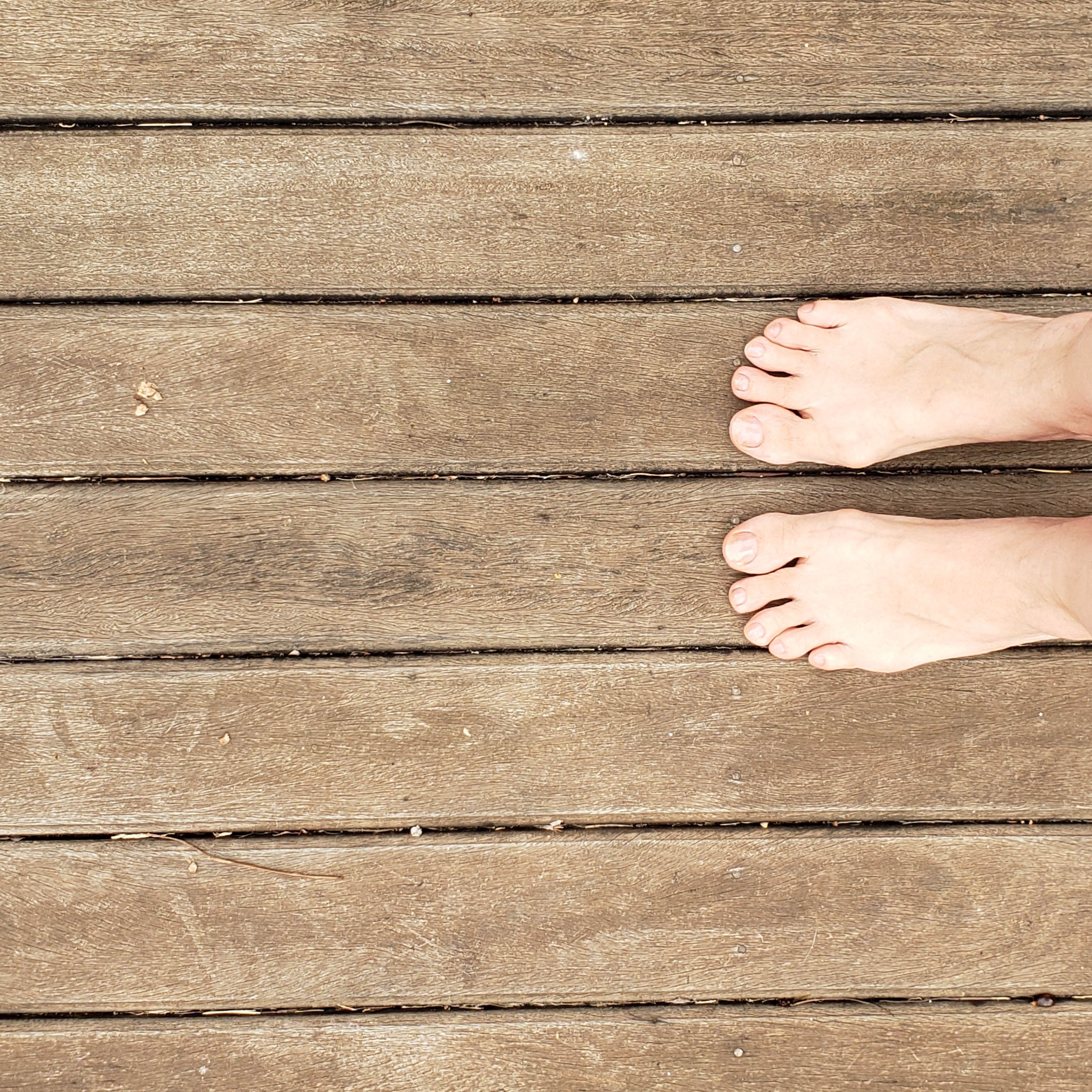 Alma Collette OnlyFans header