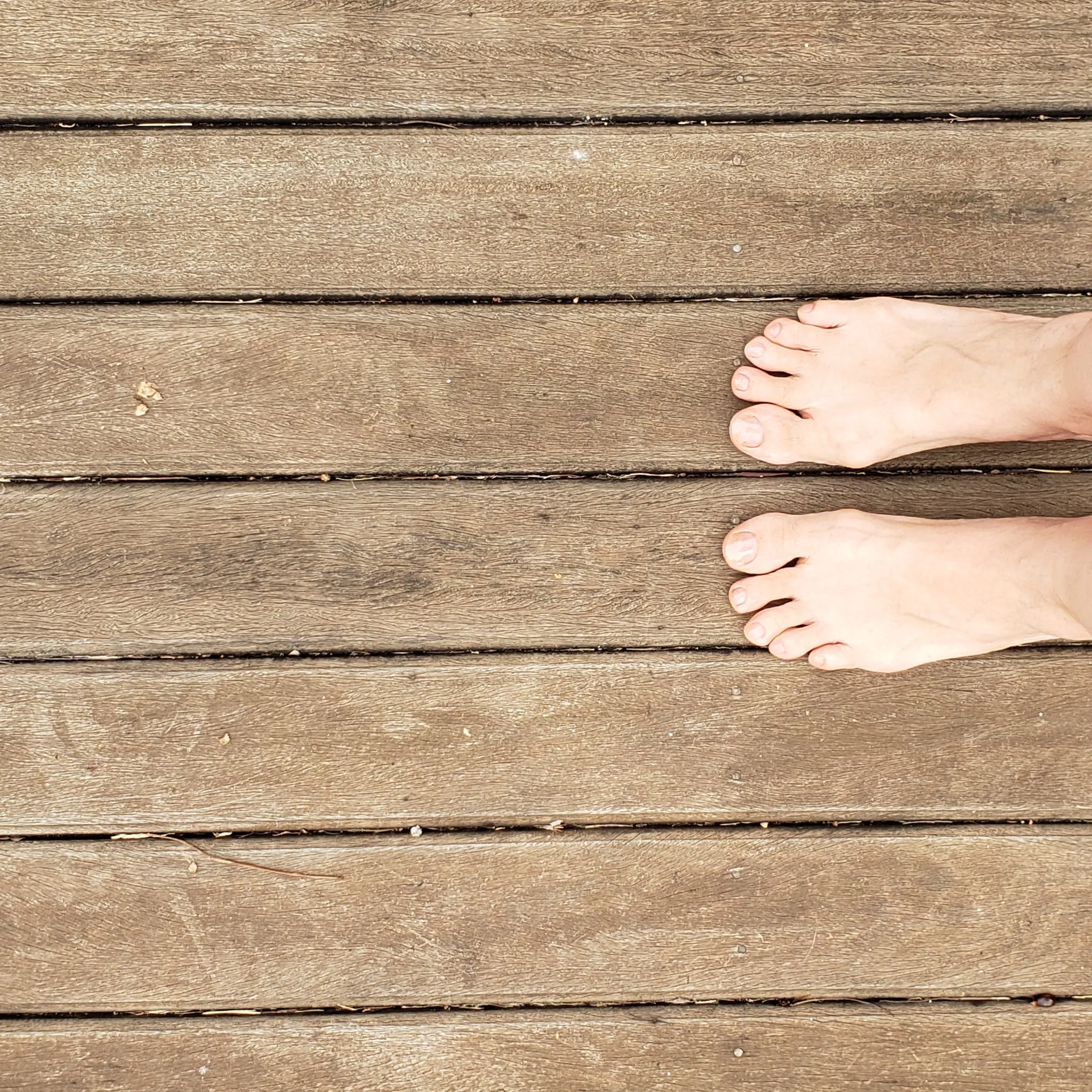 Alma Collette OnlyFans header