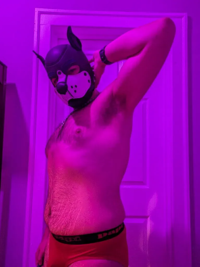 Pup Argo OnlyFans profile picture
