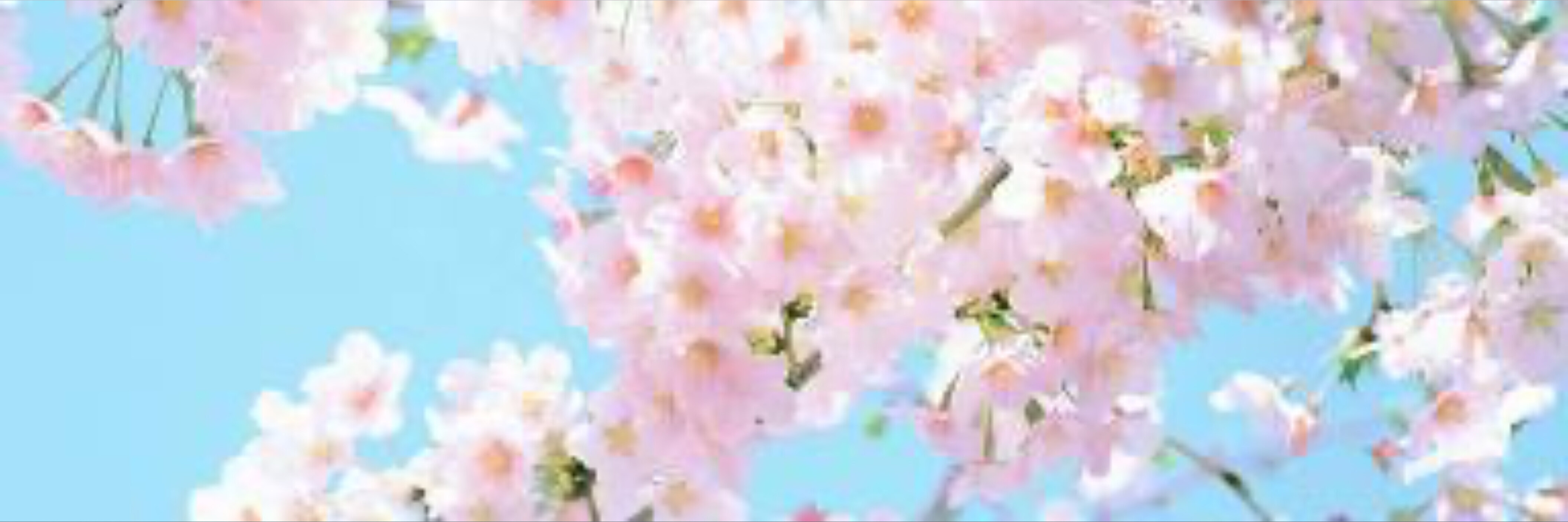 Alyssa 💕💫🌵😸 OnlyFans header