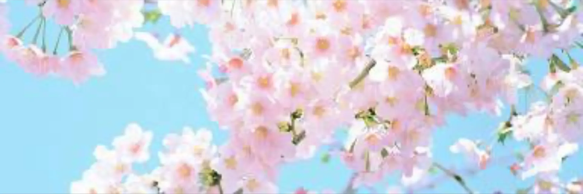 Alyssa 💕💫🌵😸 OnlyFans header