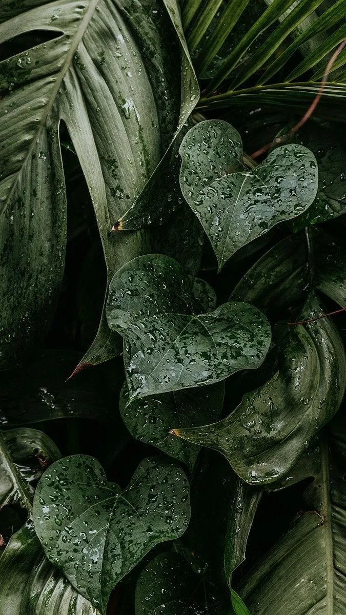 Anna grace OnlyFans header