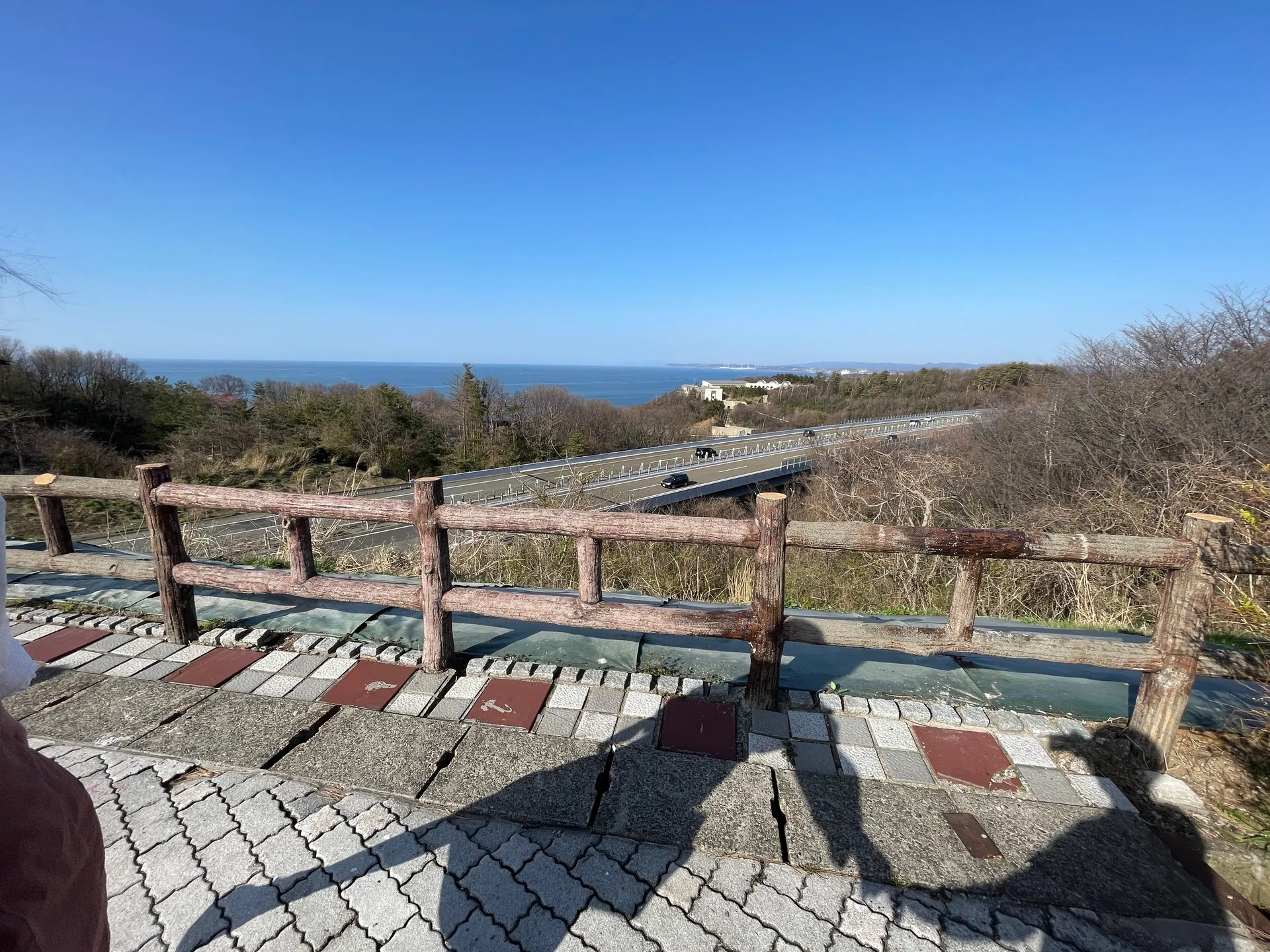 Aoharucouple❤あおはる OnlyFans header