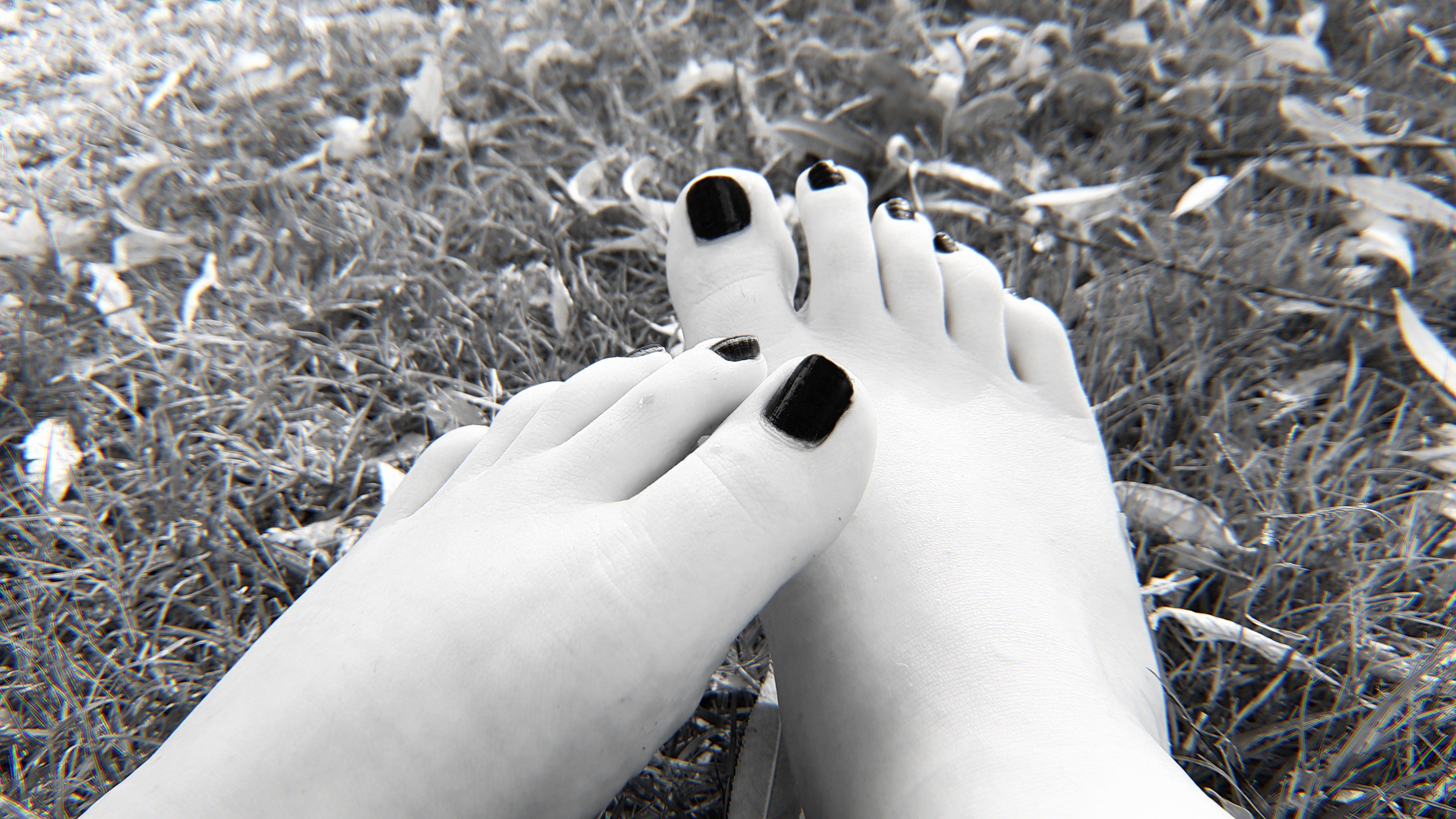 🦋 Aoi 🦋 OnlyFans header