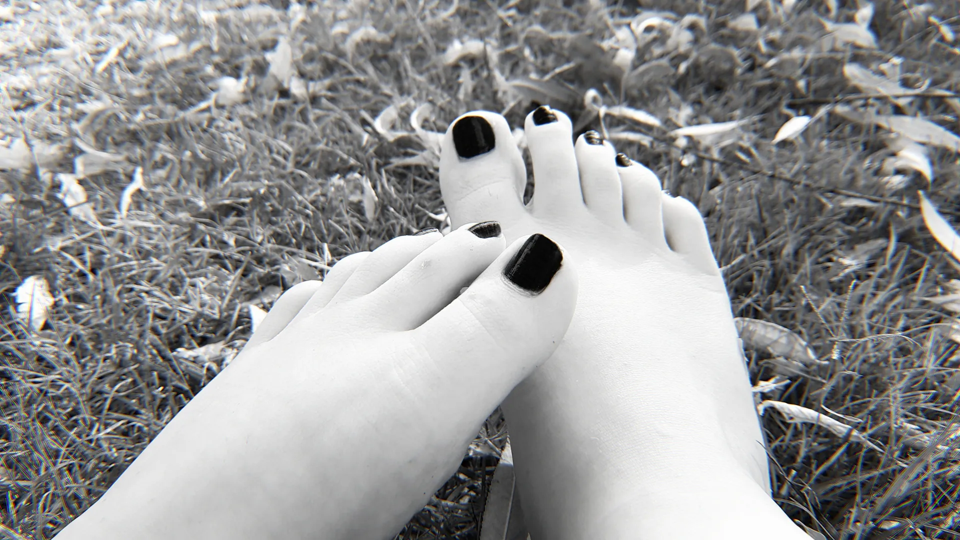 🦋 Aoi 🦋 OnlyFans header