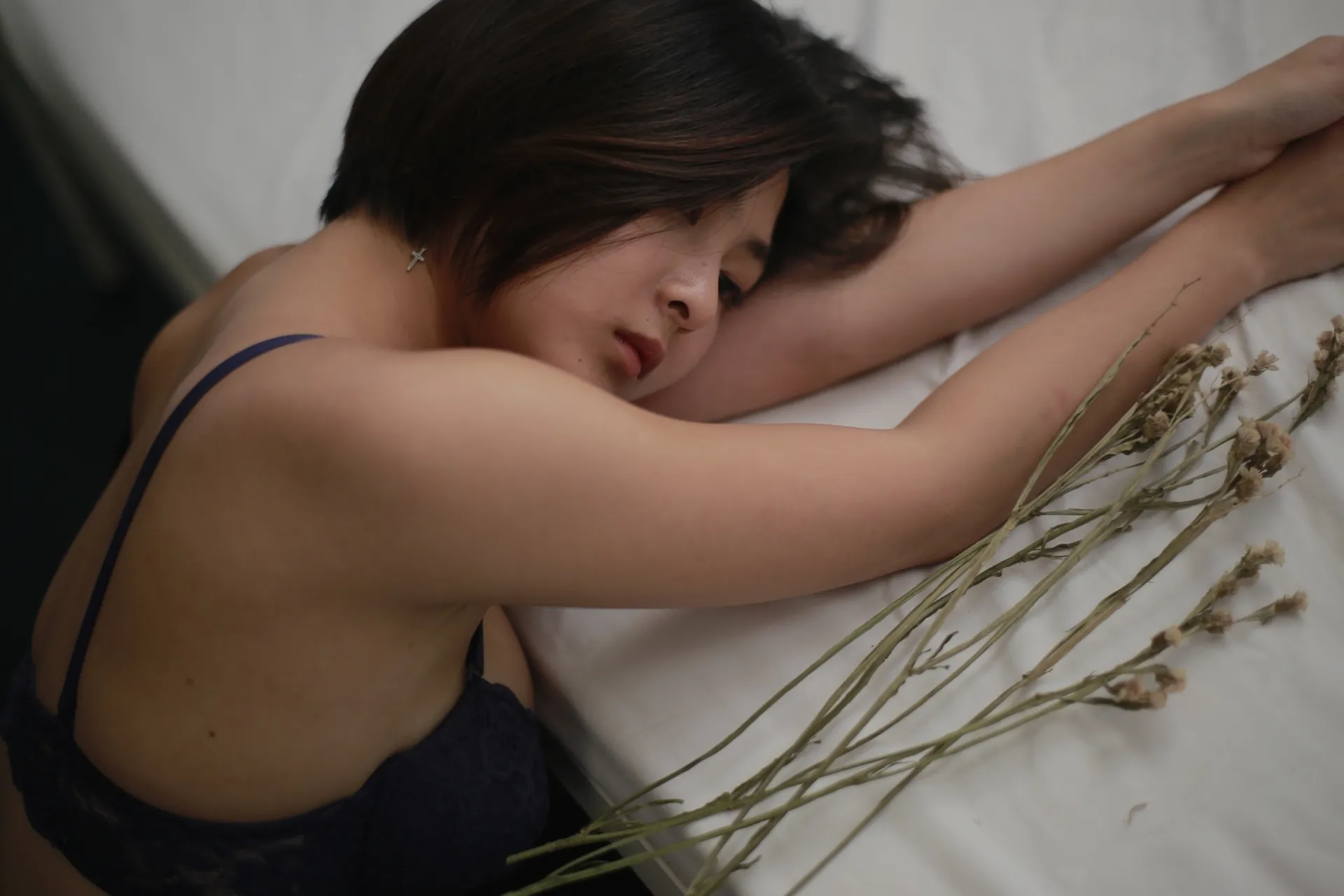 Aom cover