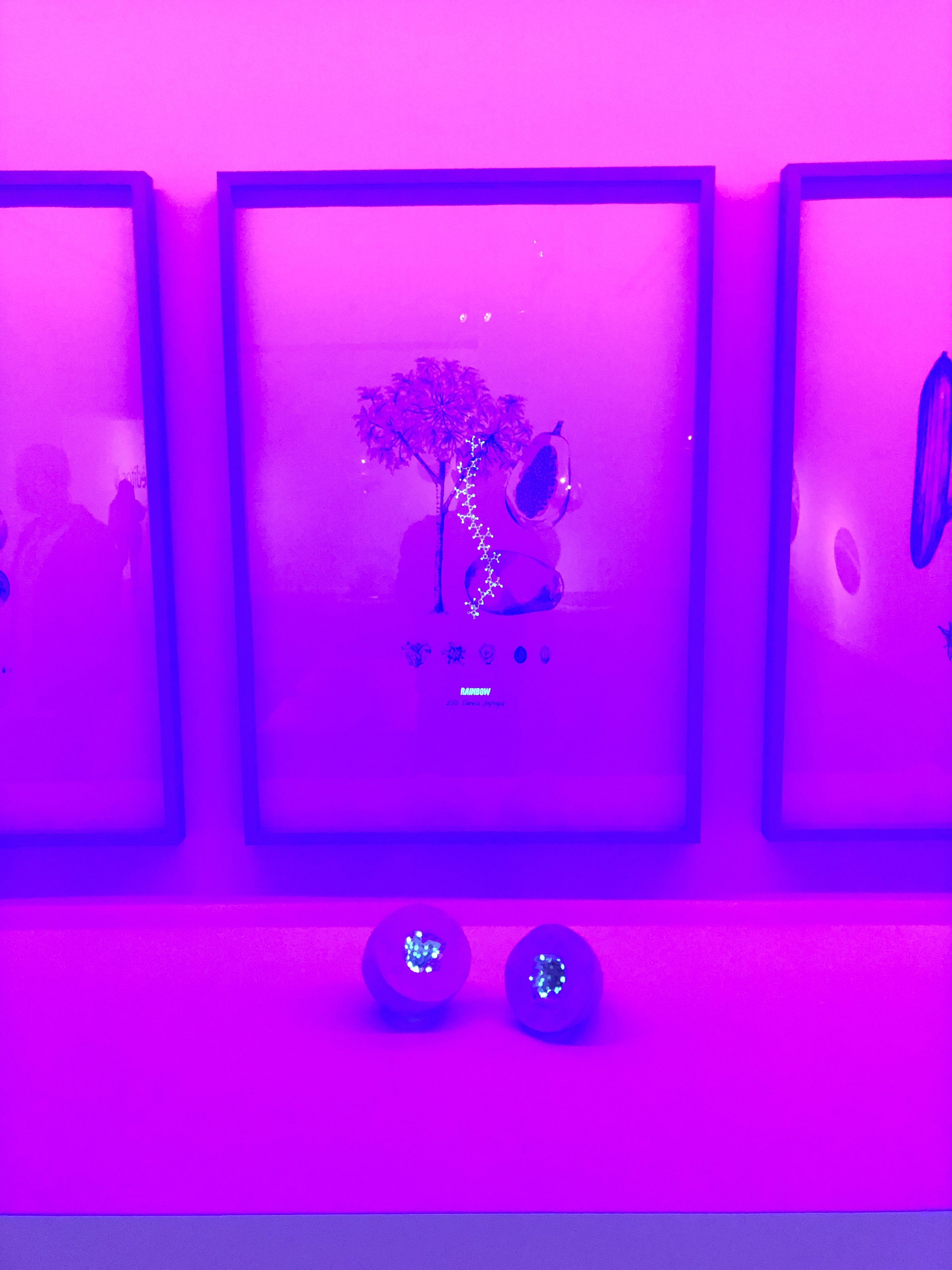 Orlove OnlyFans header