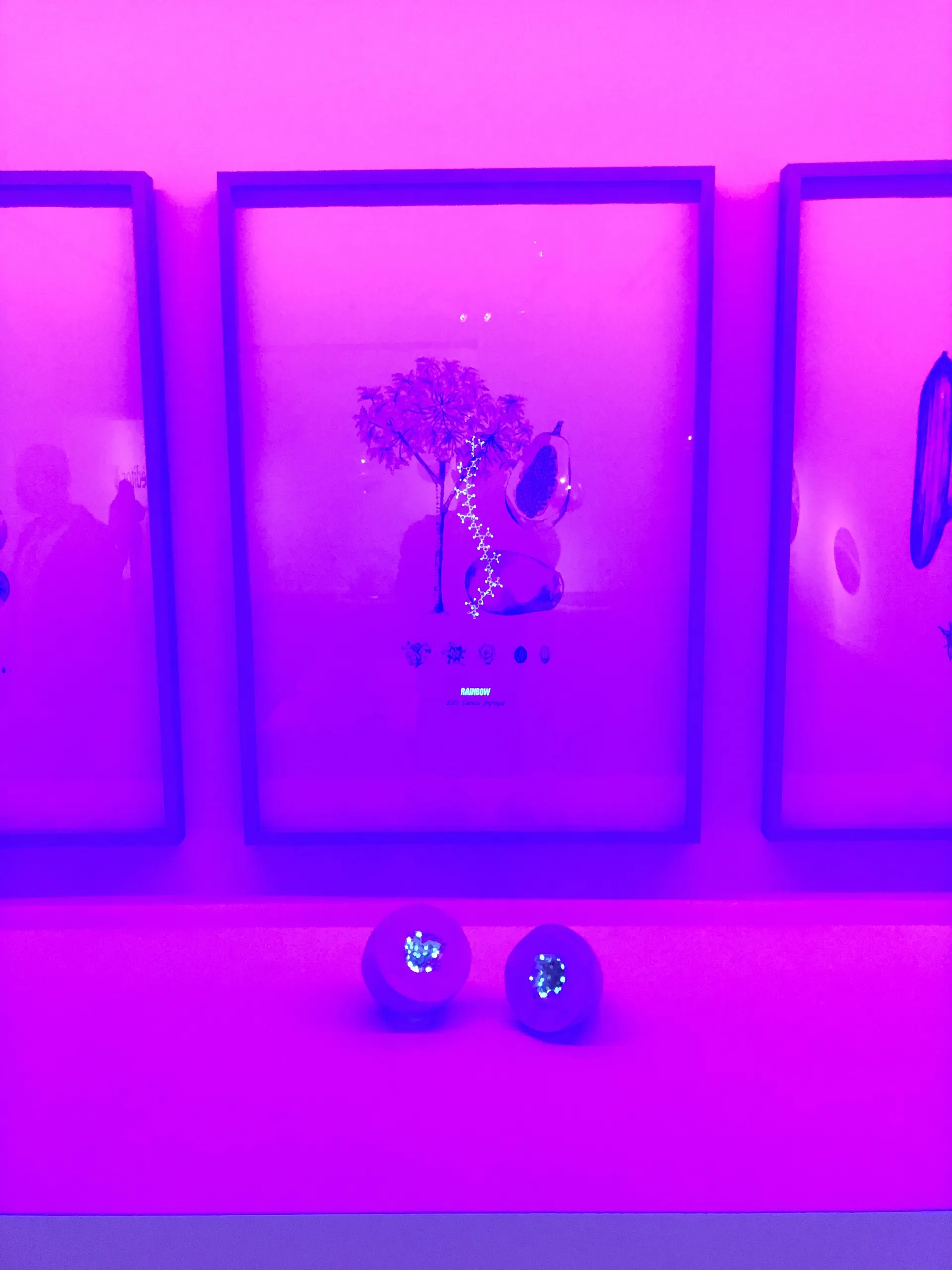 Orlove OnlyFans header