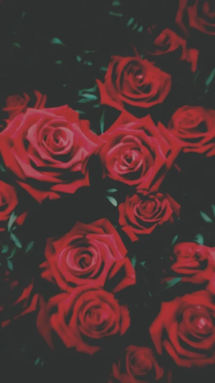 Pixie OnlyFans header