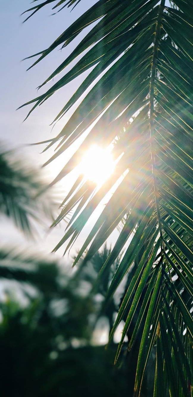 aovp2997 OnlyFans header