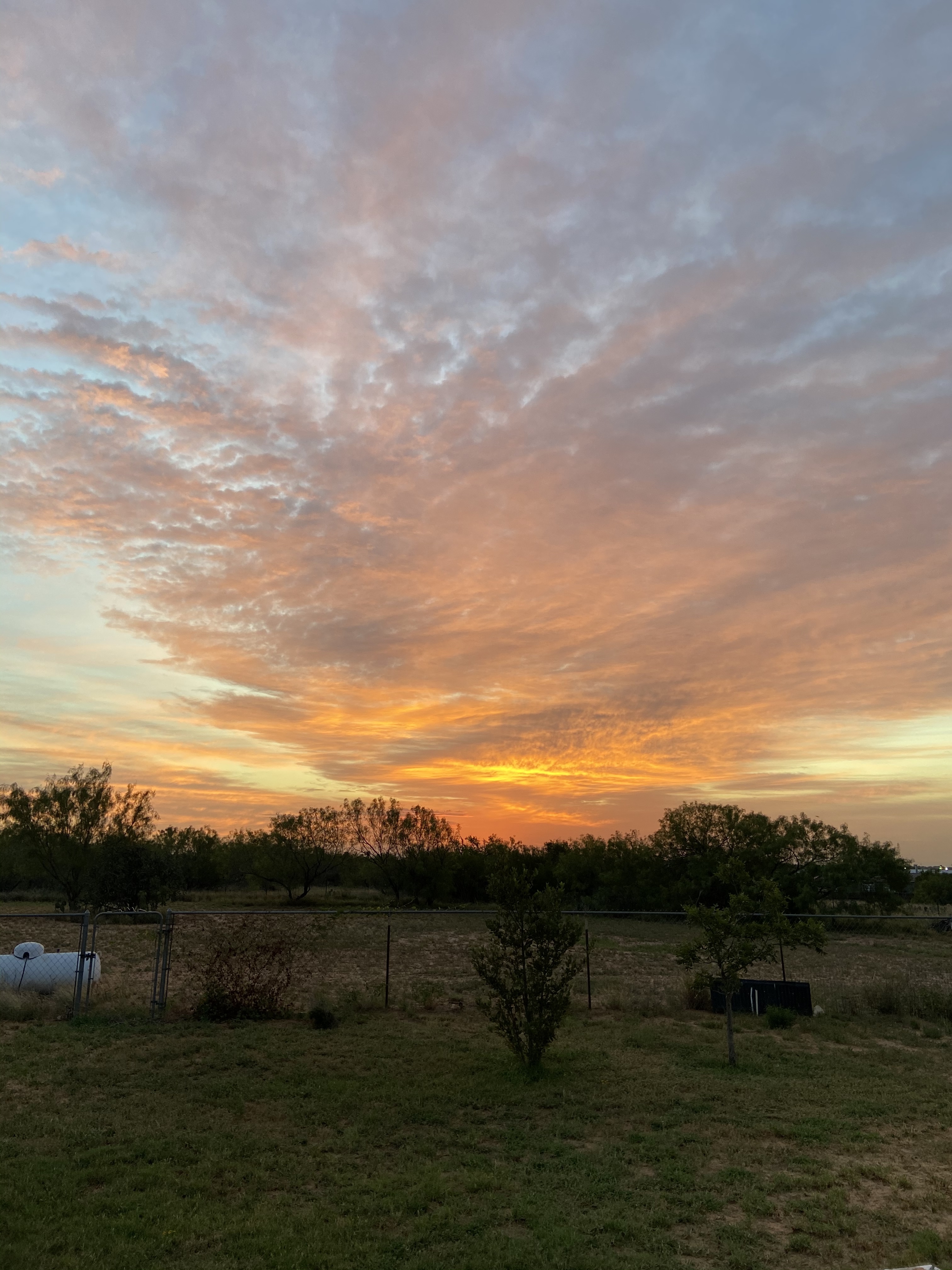 Alex Petrunic OnlyFans header