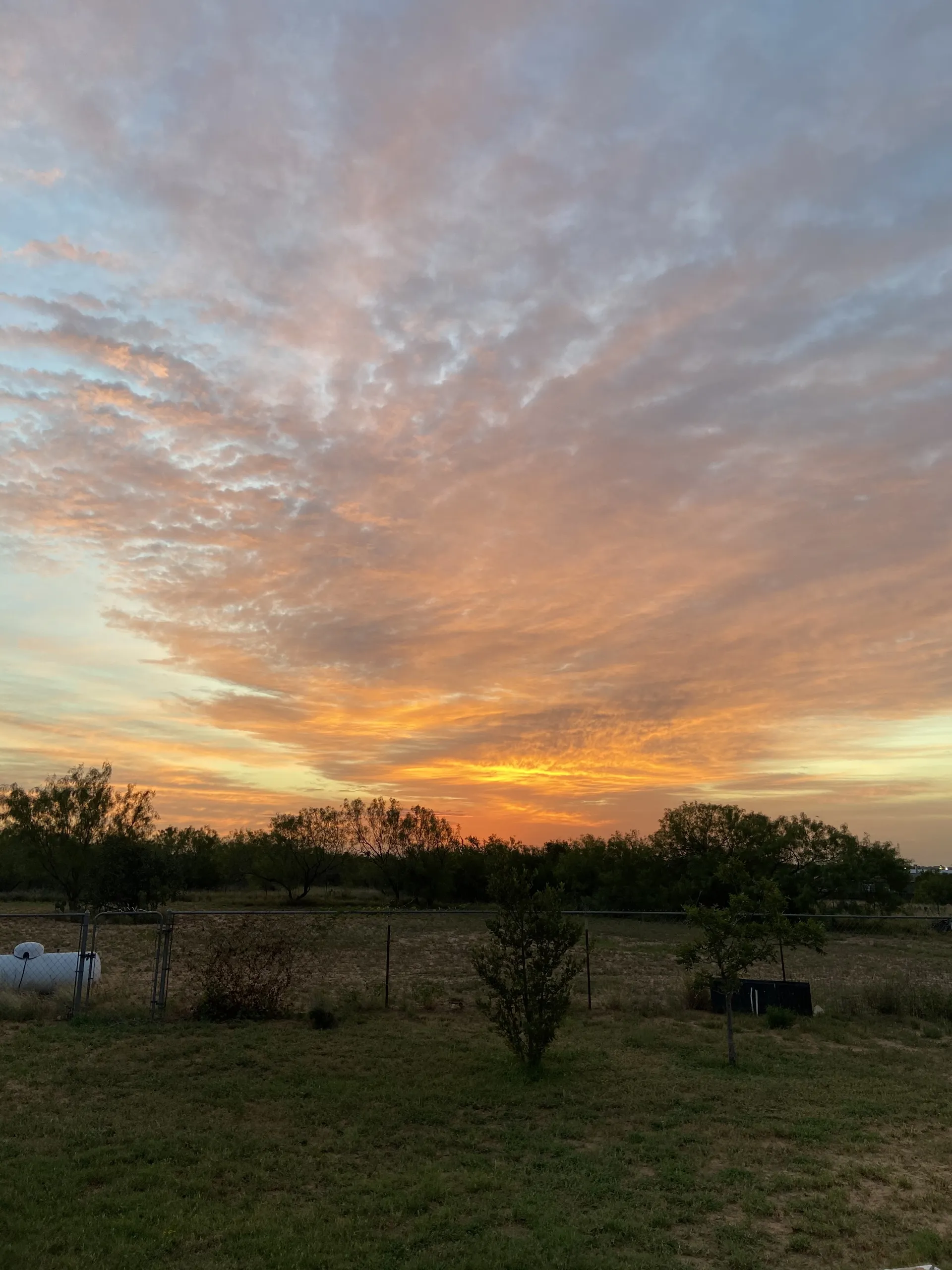 Alex Petrunic OnlyFans header