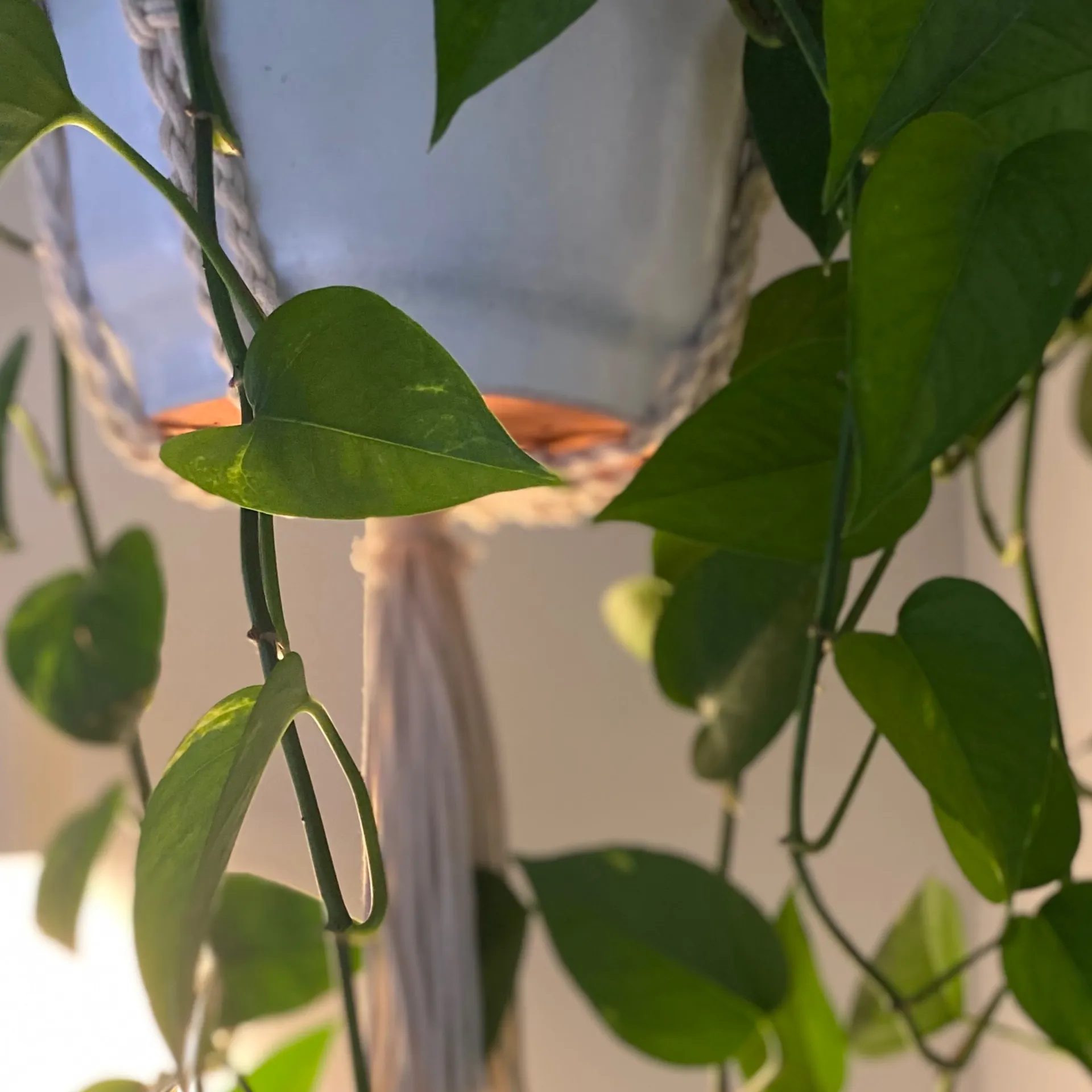 Juice Box 🧃 OnlyFans header