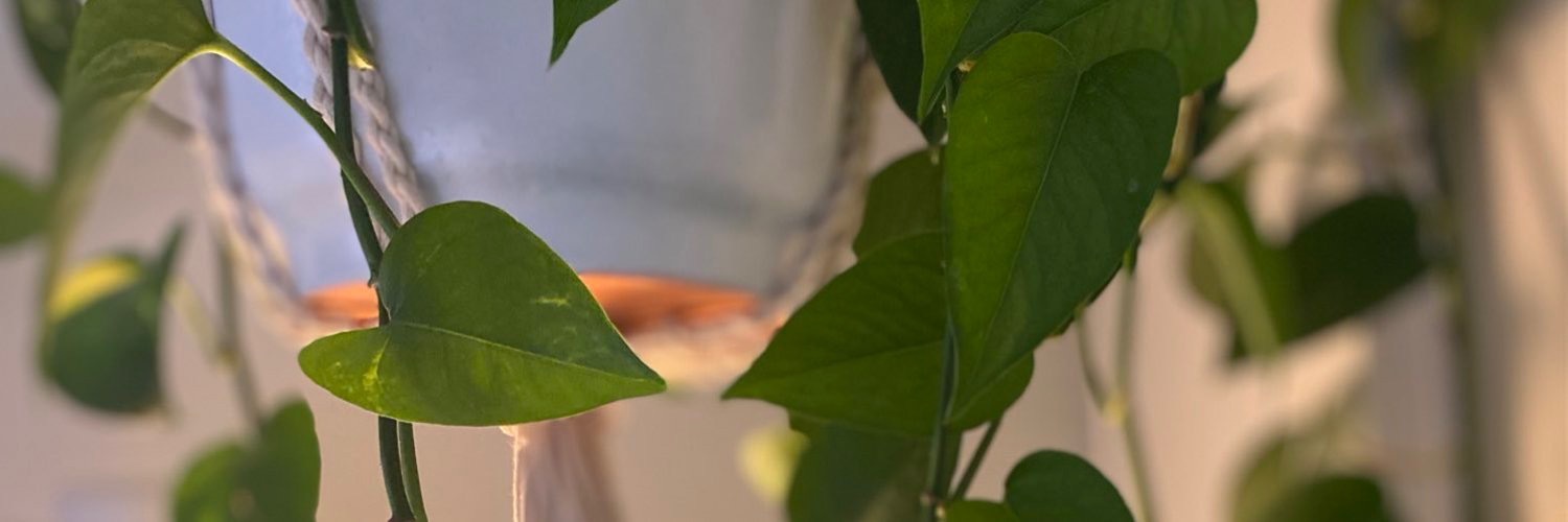 Juice Box 🧃 OnlyFans header