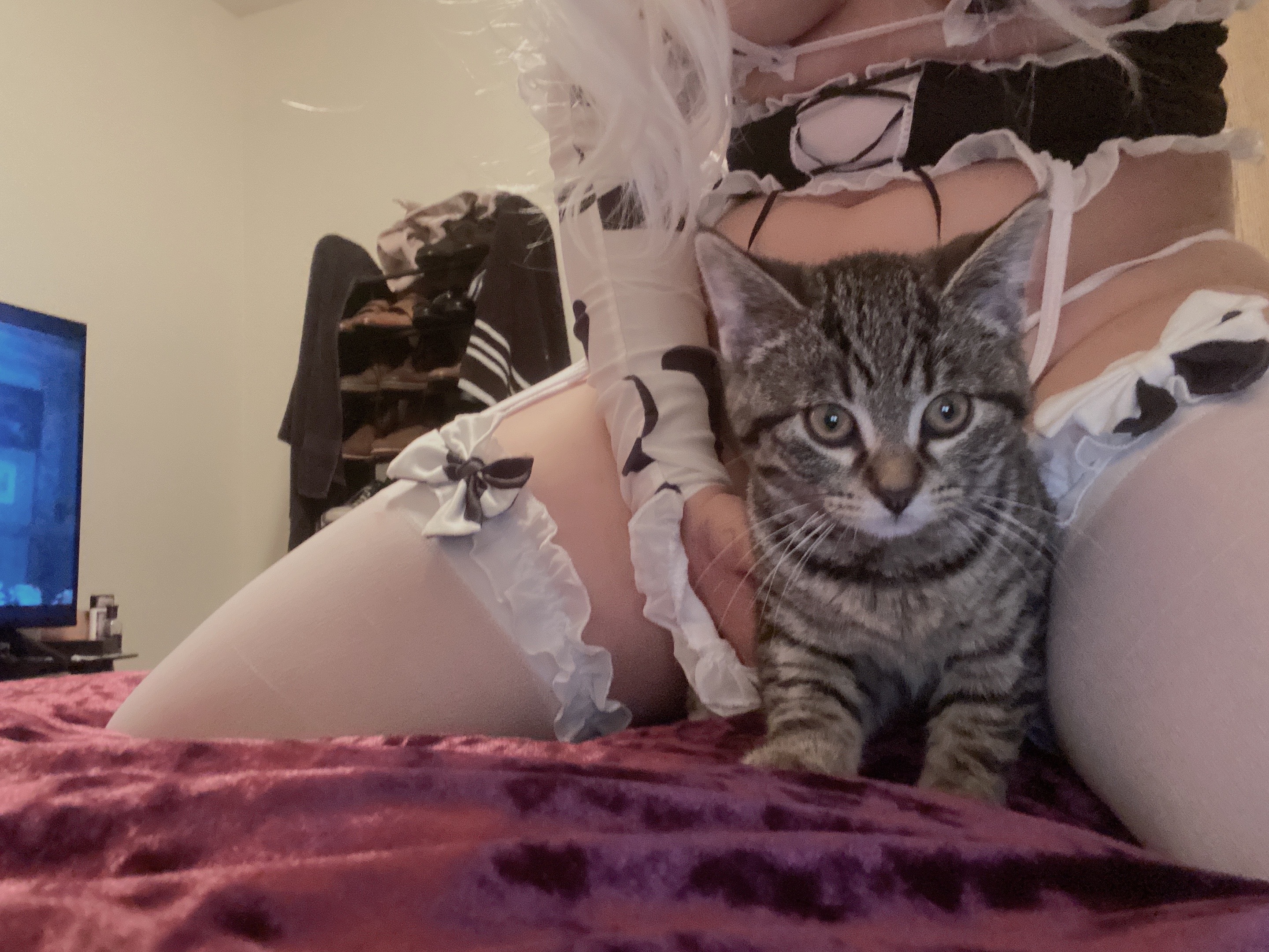 Apeachy OnlyFans header